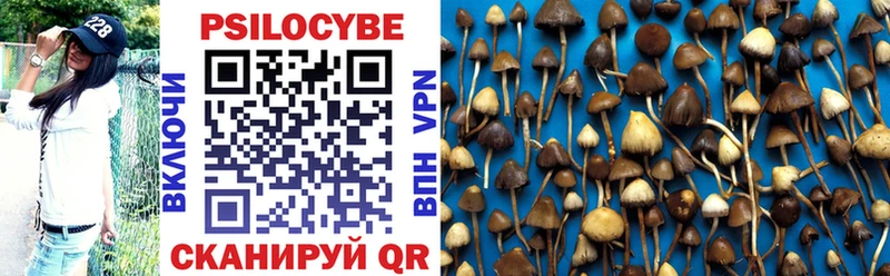 Псилоцибиновые грибы Cubensis  гидра зеркало  Облучье  хочу наркоту 